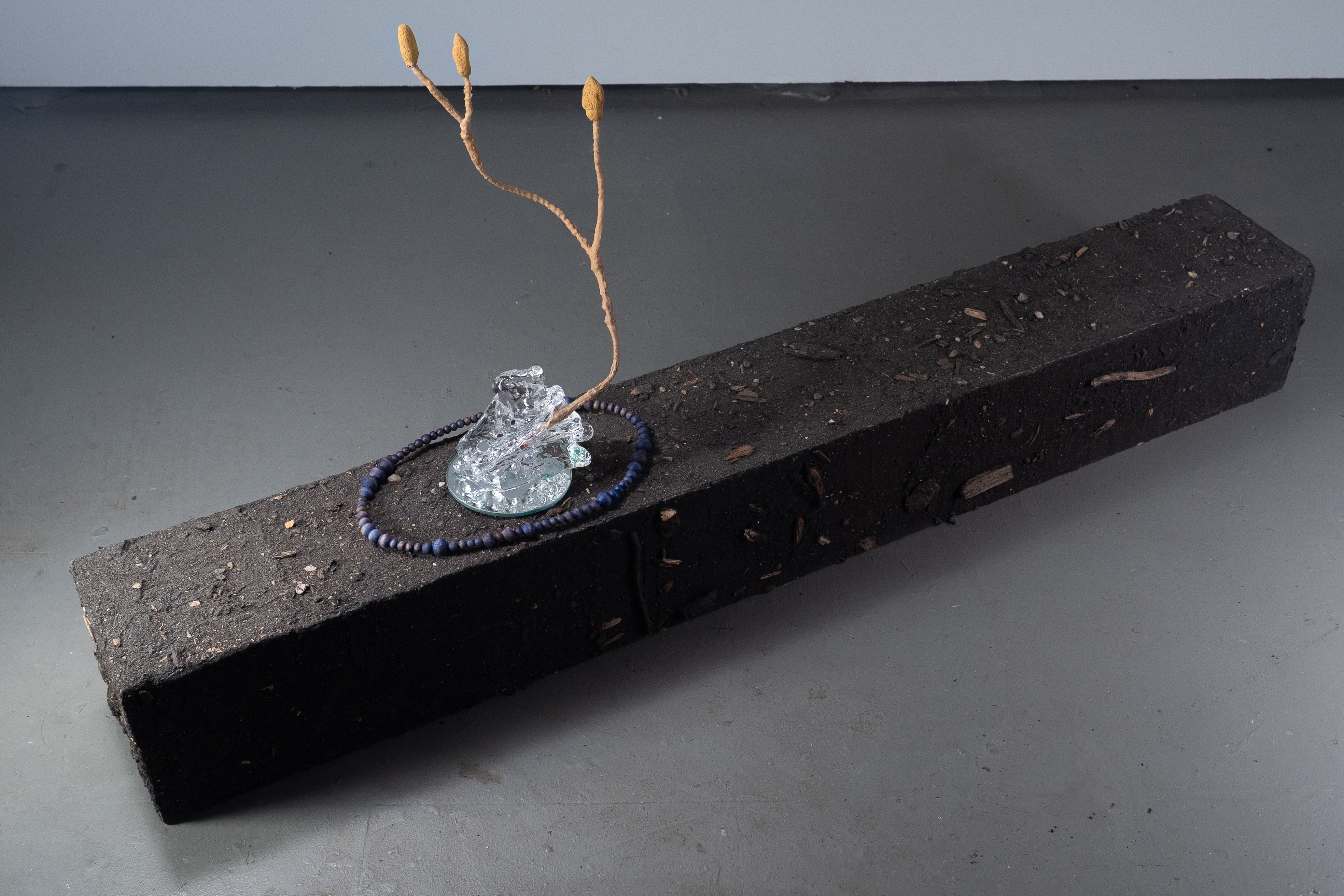 When a Tree Falls in the Forest